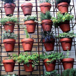 Plant Stands